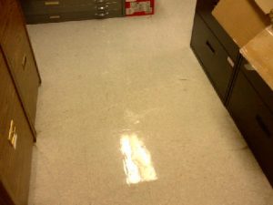 Clean Waxed Floors 2